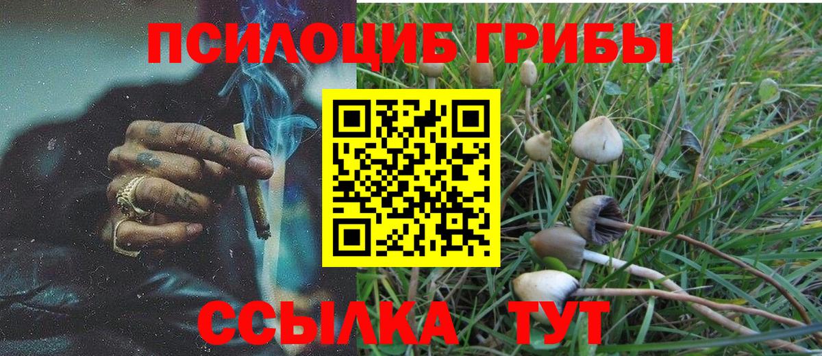 Галлюциногенные грибы Magic Shrooms  Вход с VPN  Кстово 