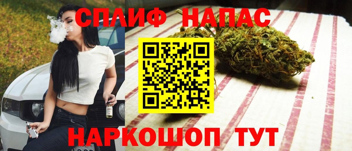Кстово  Канабис MAZAR  Вход с VPN  Каннабис сатива  Каннабис сатива 