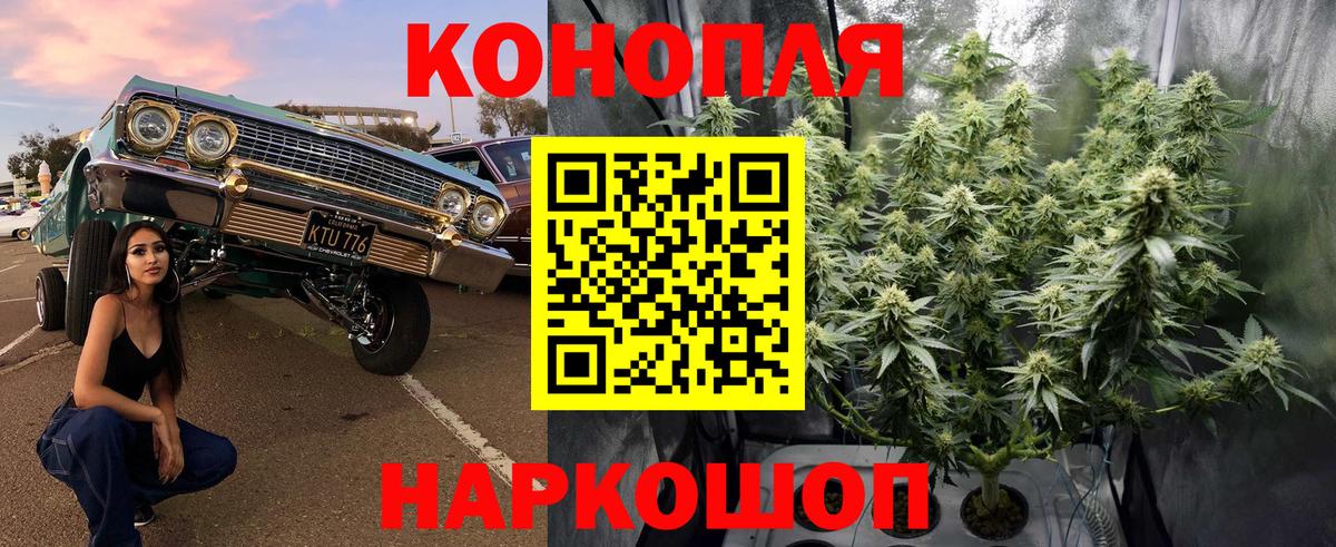 Бошки марихуана Bruce Banner Кстово